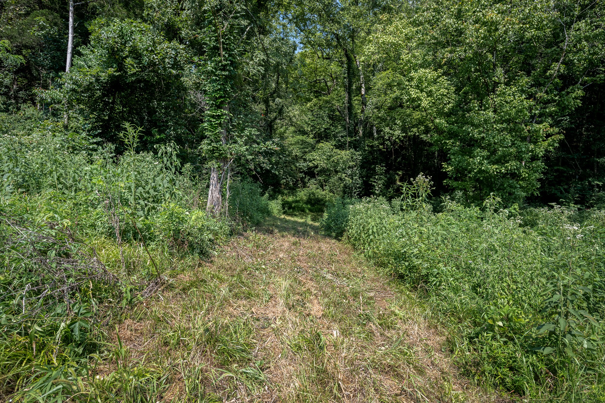 206 Hickerson Rd