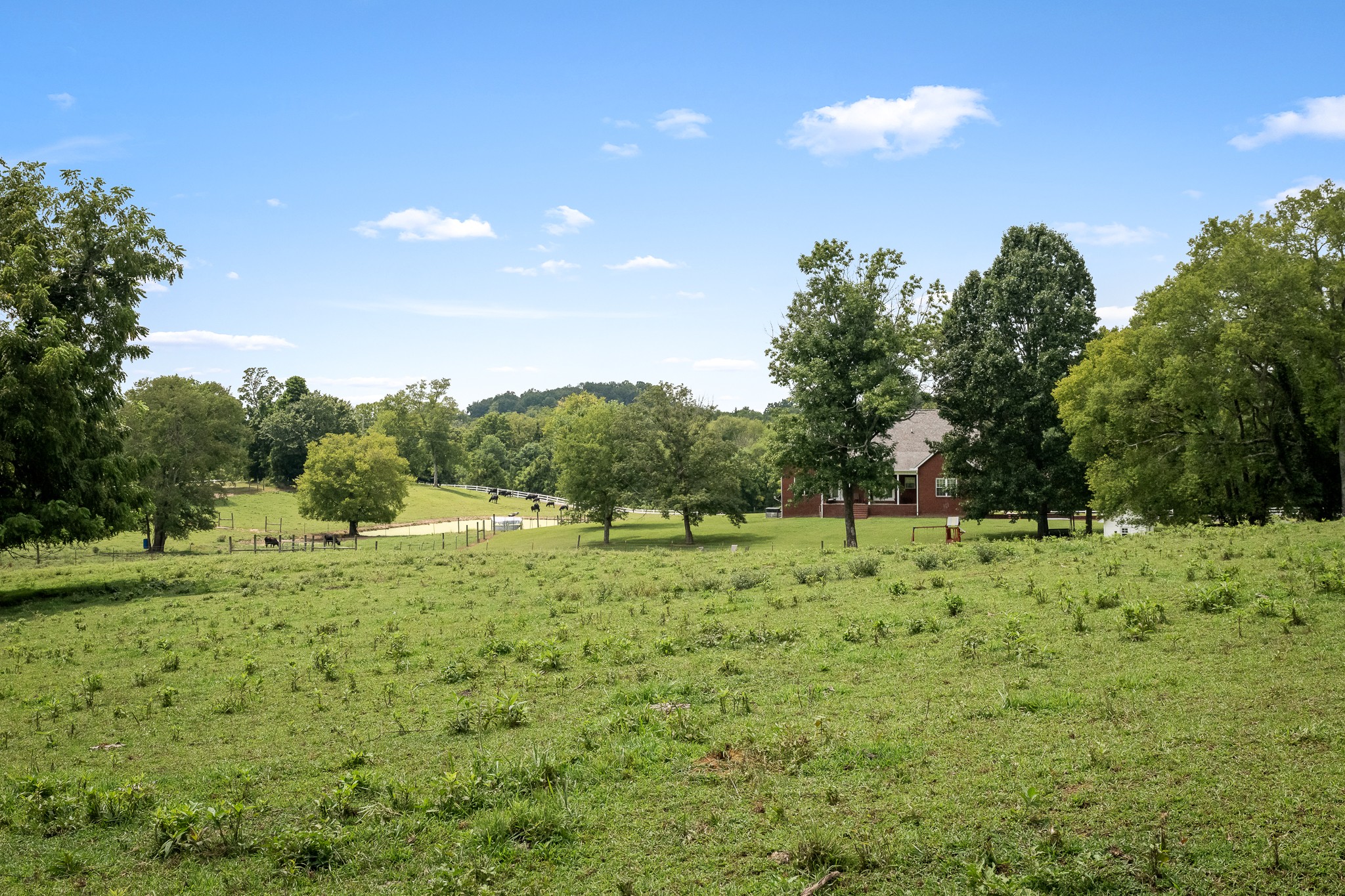 206 Hickerson Rd