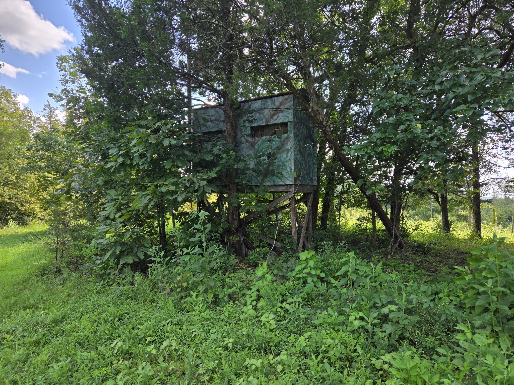 35 Reba Ln