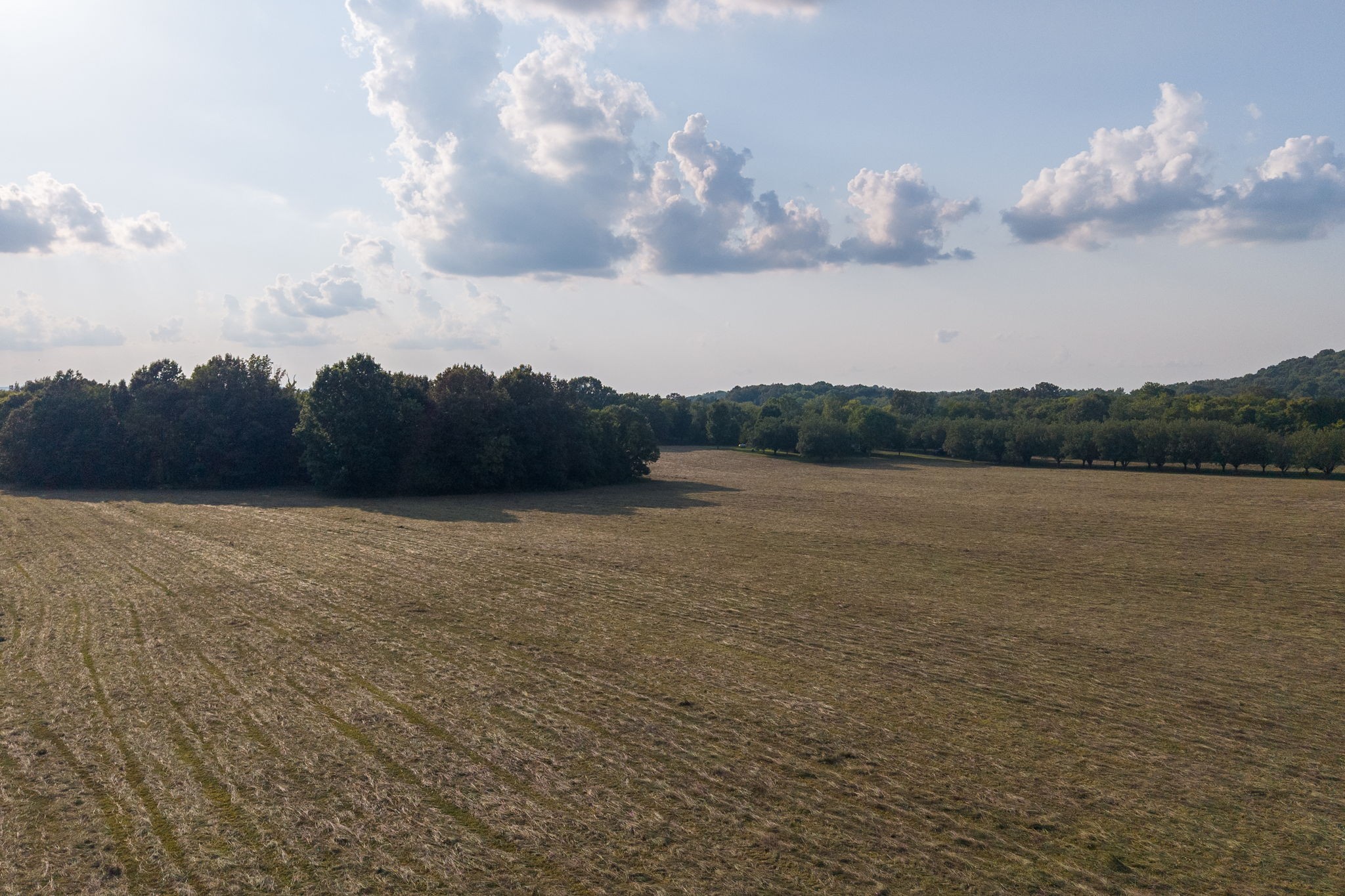 975 Haunt Hollow Rd