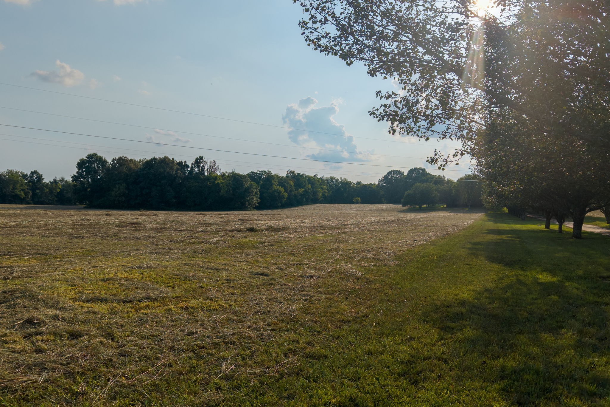 975 Haunt Hollow Rd
