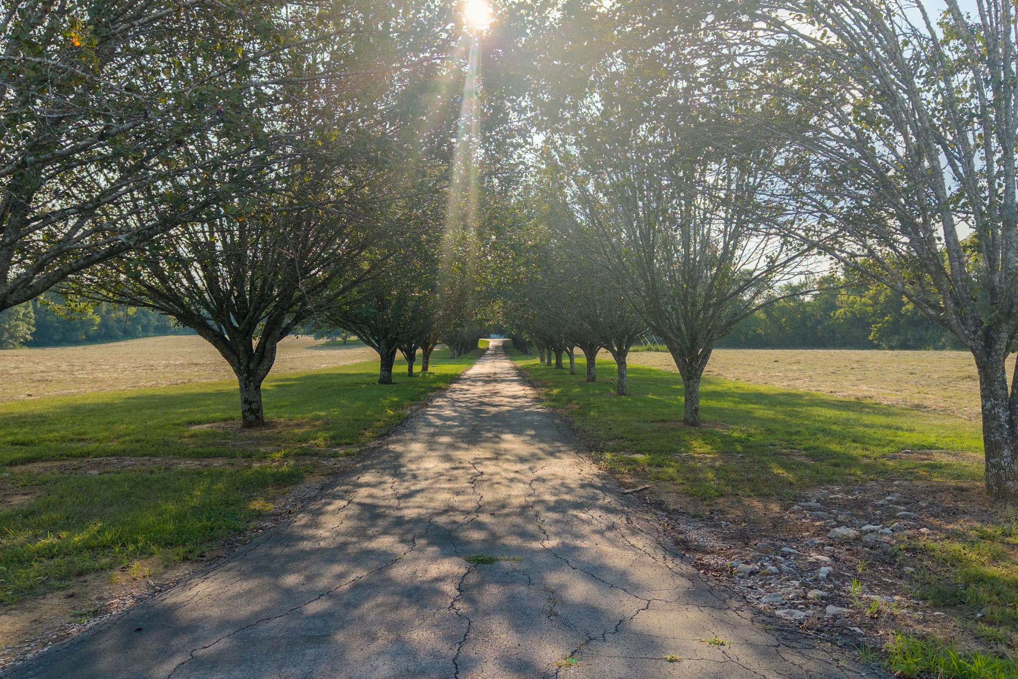 975 Haunt Hollow Rd