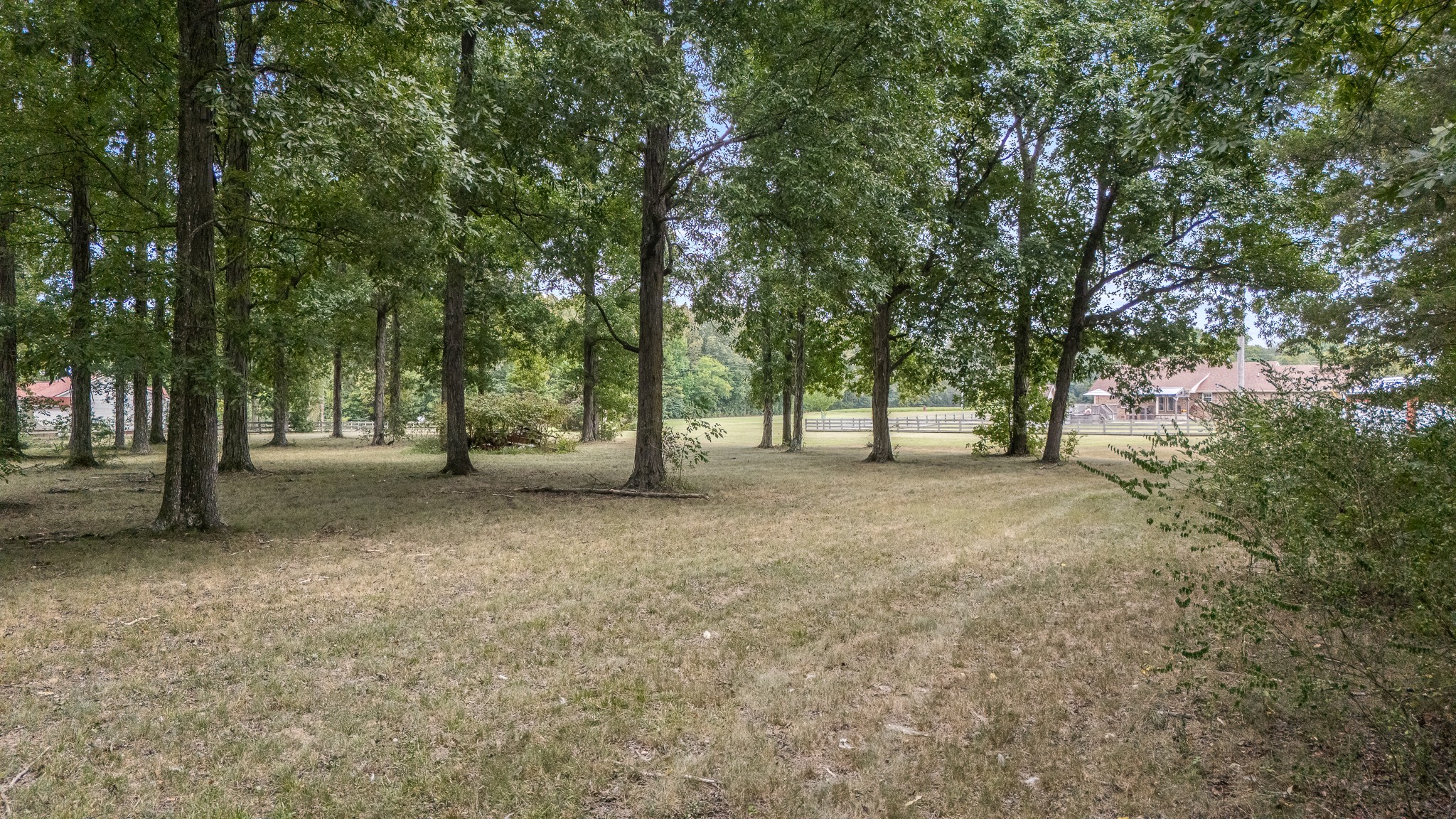 223 Rich Rd