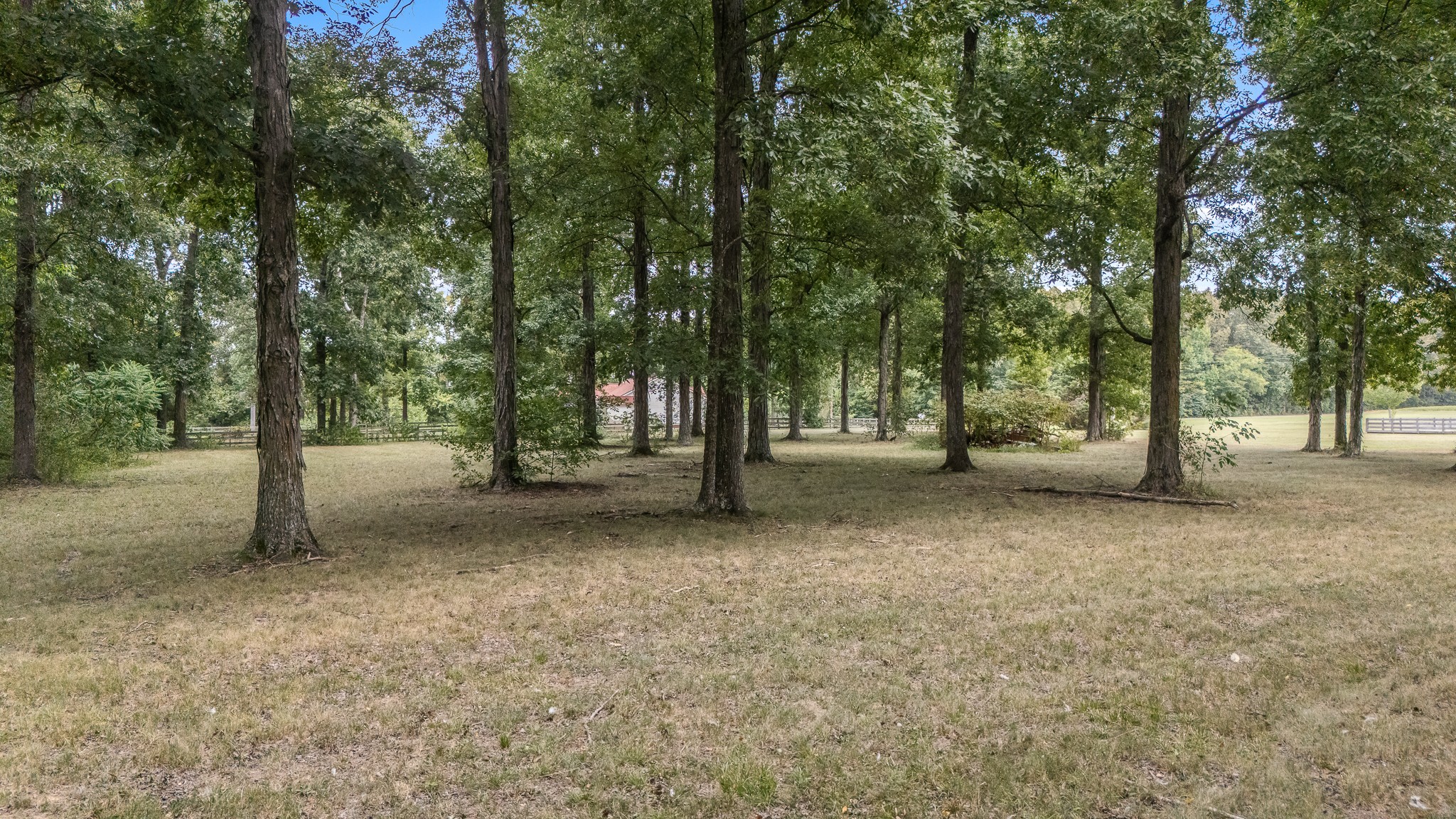 223 Rich Rd