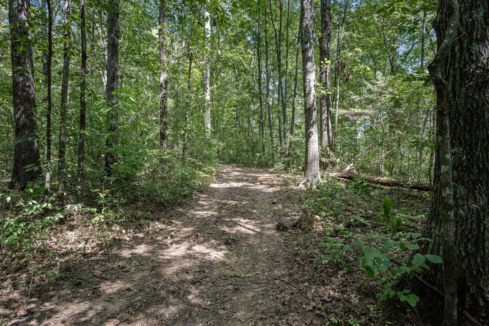 177 Warner Bridge Rd