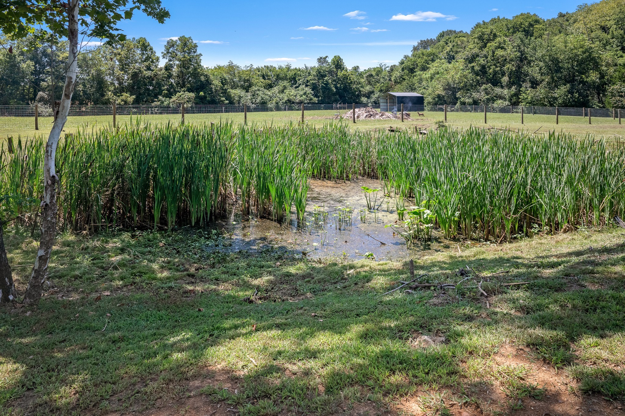 177 Warner Bridge Rd