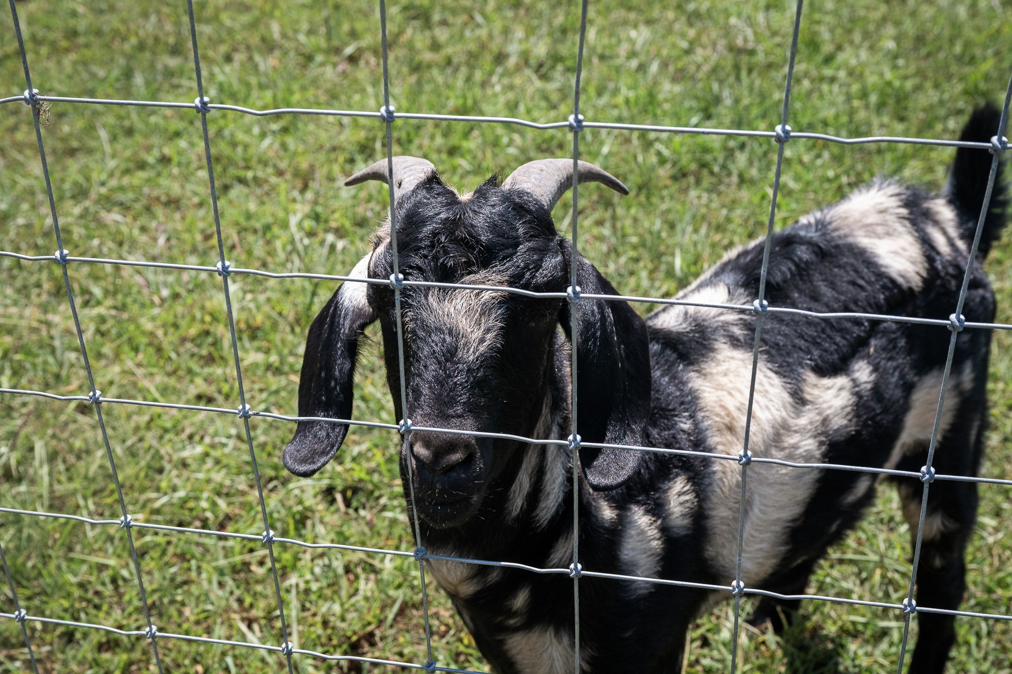 177 Warner Bridge Rd