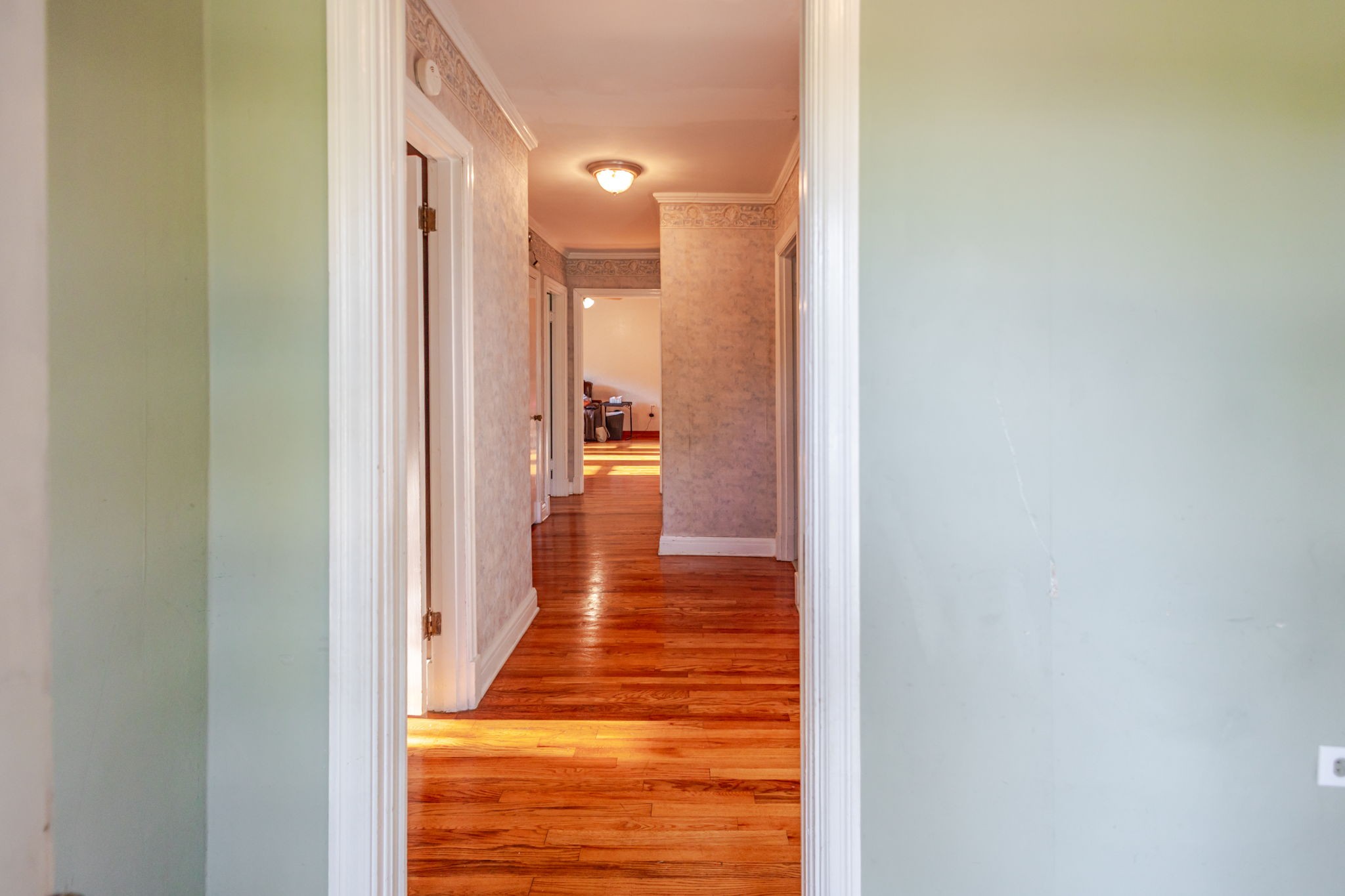 313 Hickory Dr