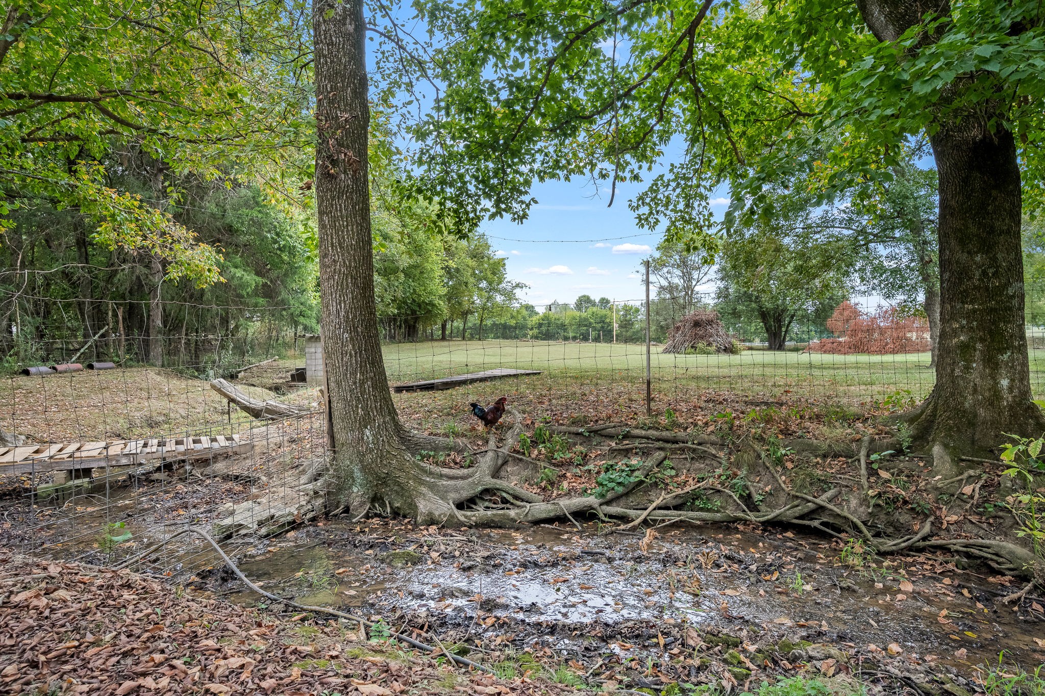 404 Old Nashville Dirt Rd