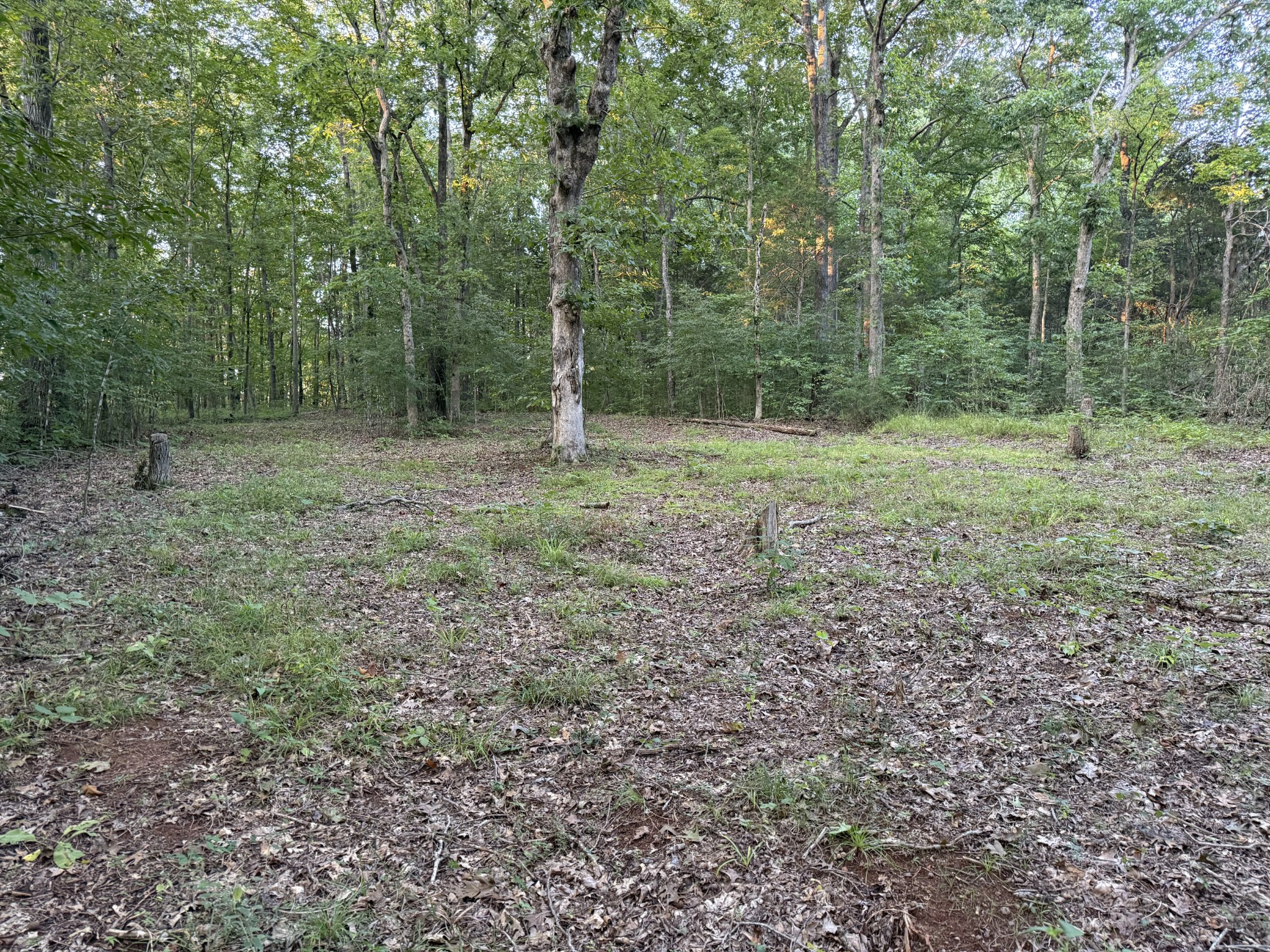1614 Warner Bridge Rd