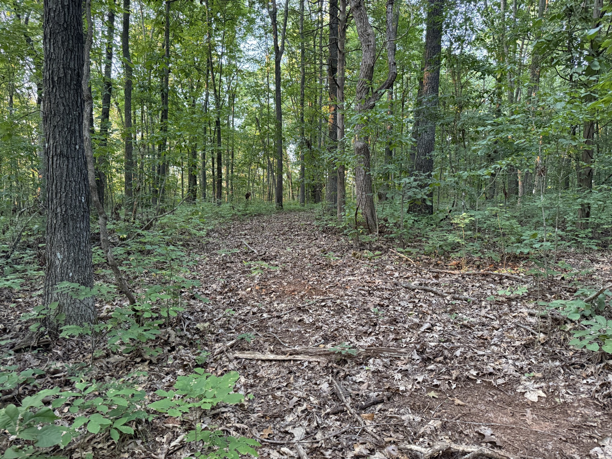 1614 Warner Bridge Rd