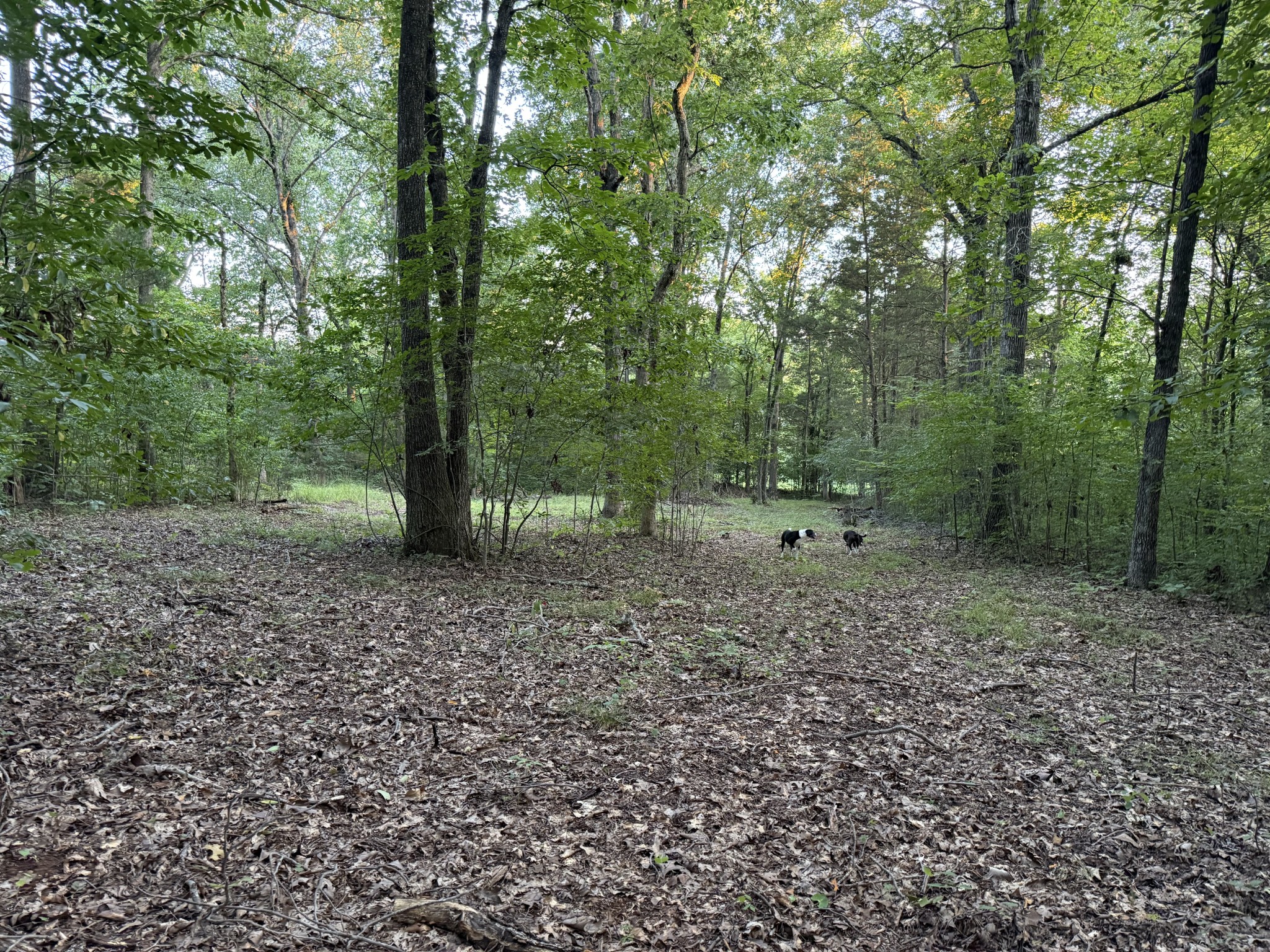 1614 Warner Bridge Rd