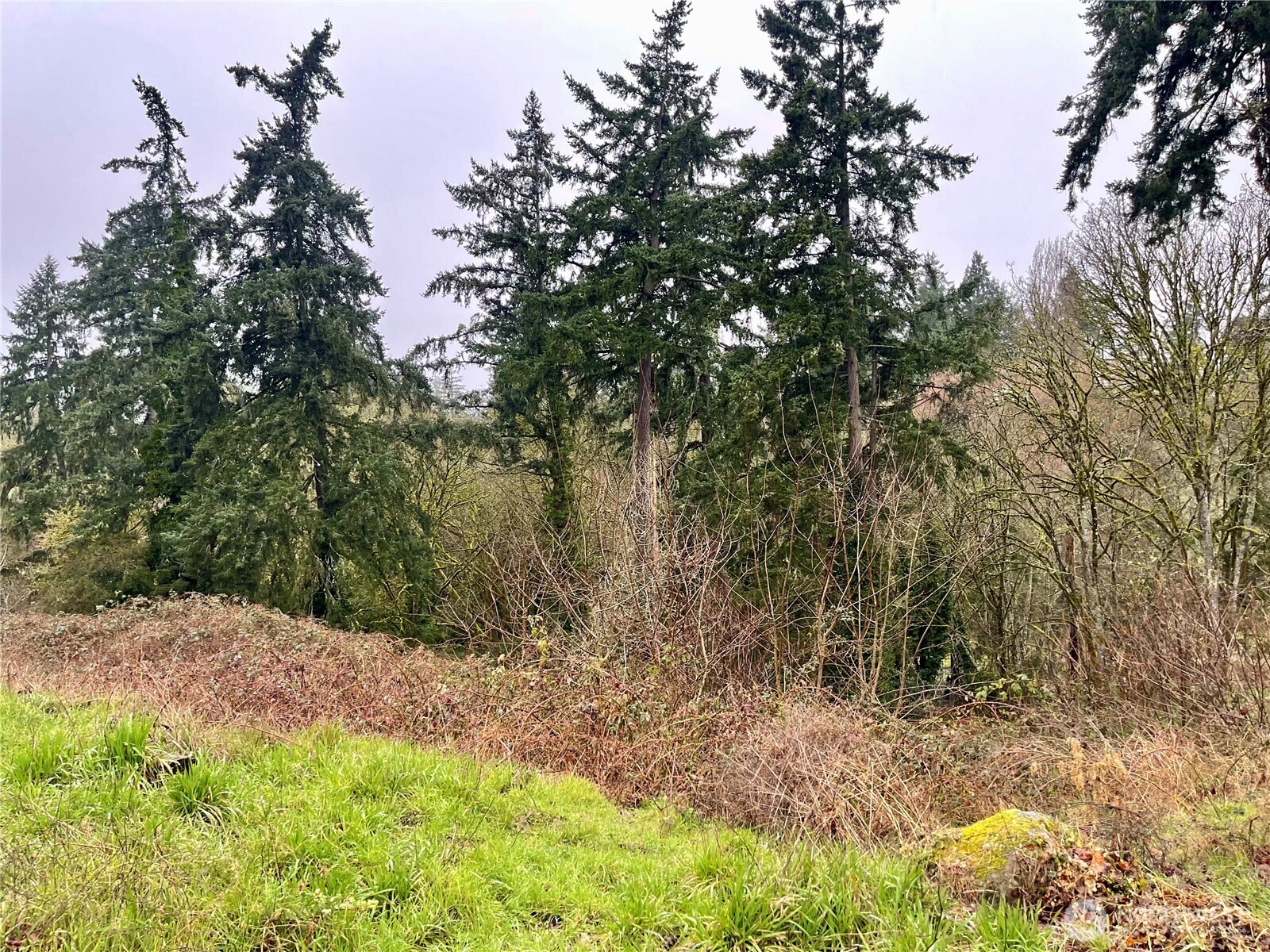 0 Edgewater Drive SW