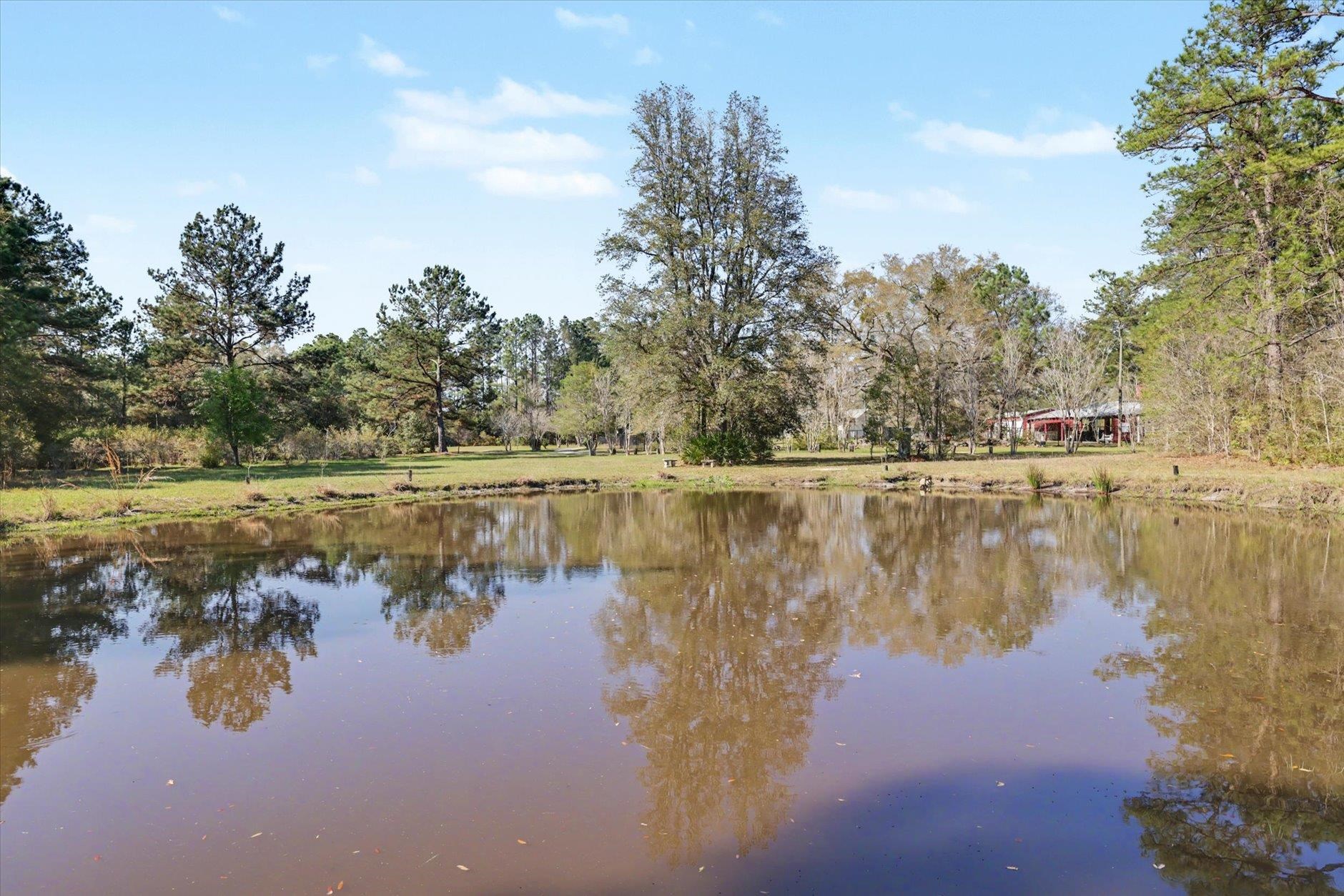2184 Tram Road