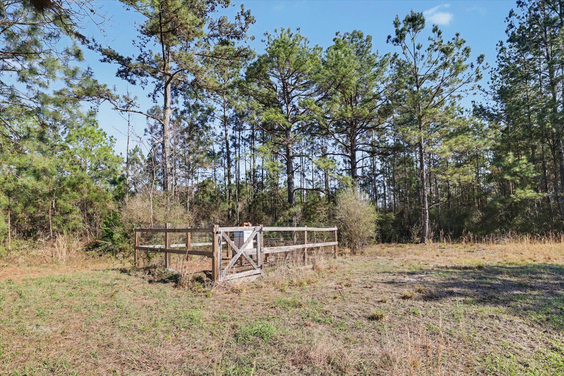 2184 Tram Road