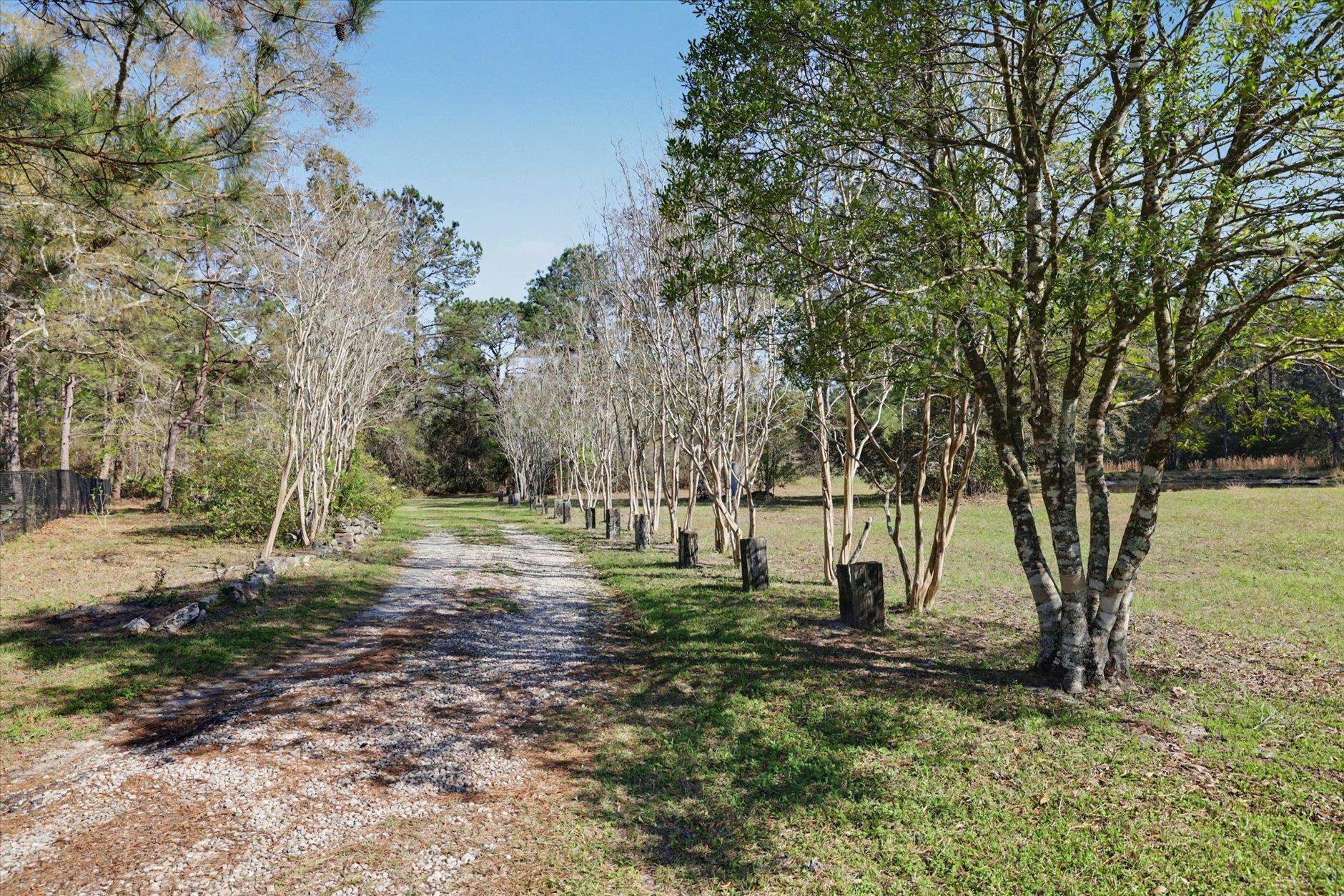 2184 Tram Road