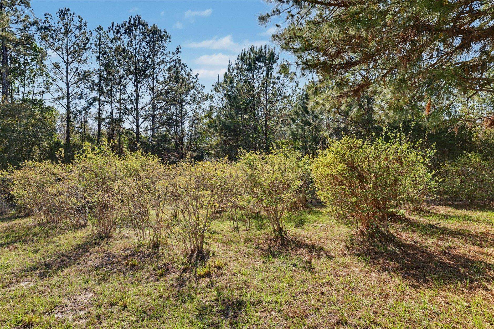 2184 Tram Road