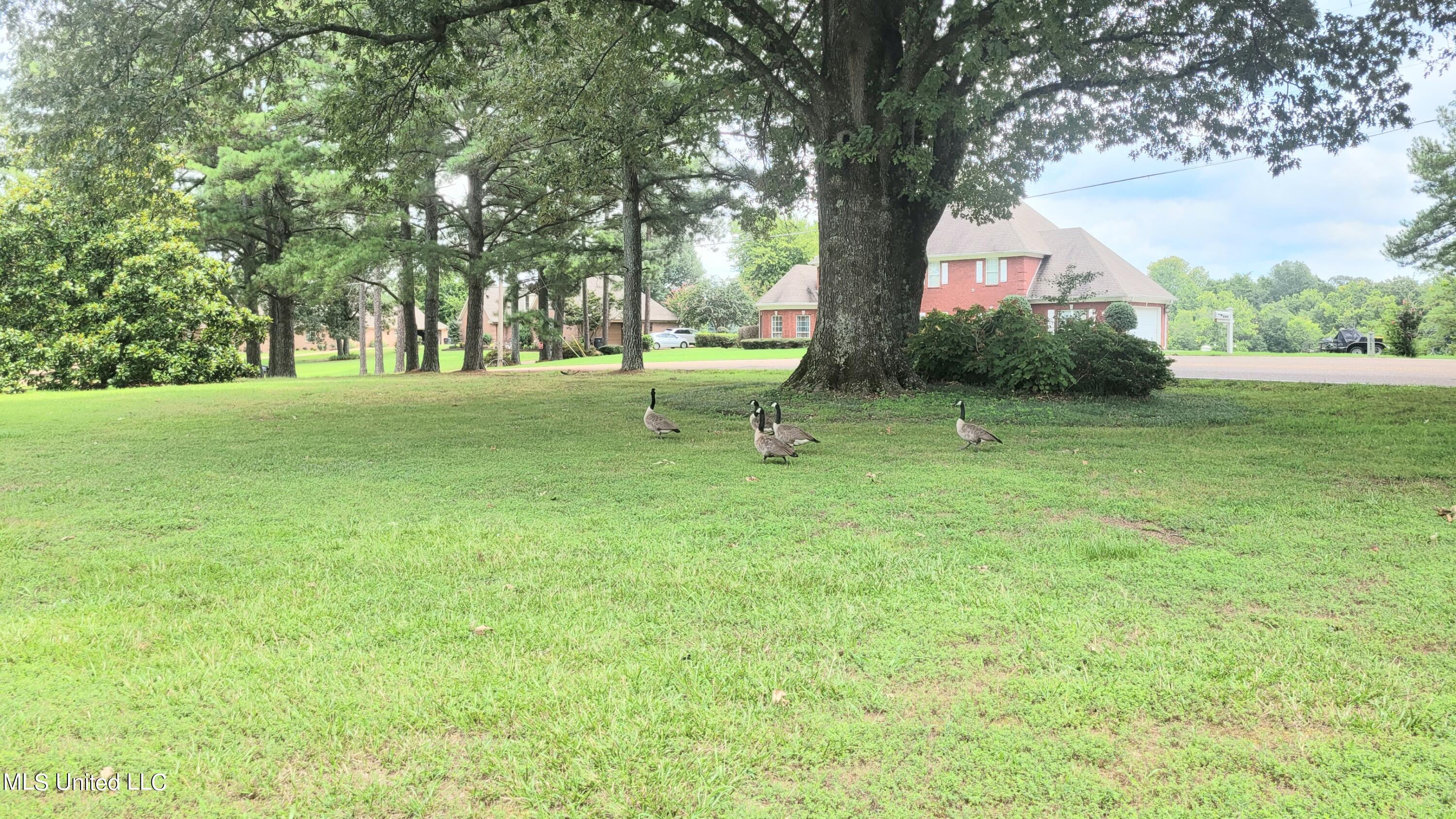 831 W Green T Boulevard