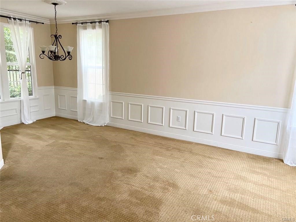 313 Tall Oak