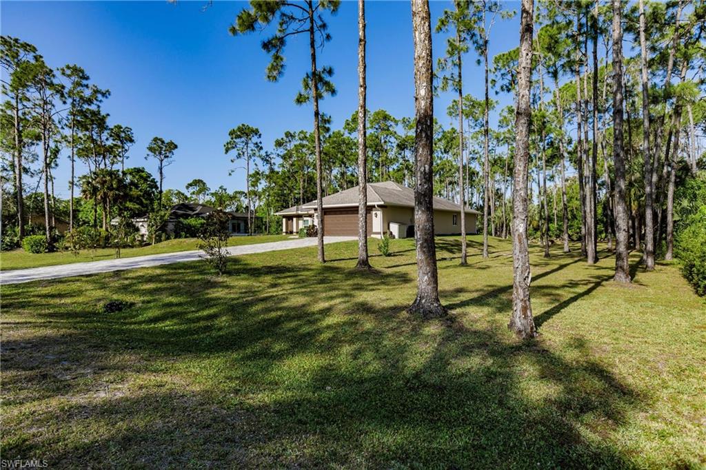 24808 Dietz DR