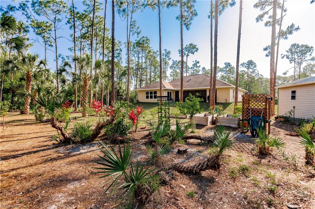 24808 Dietz DR