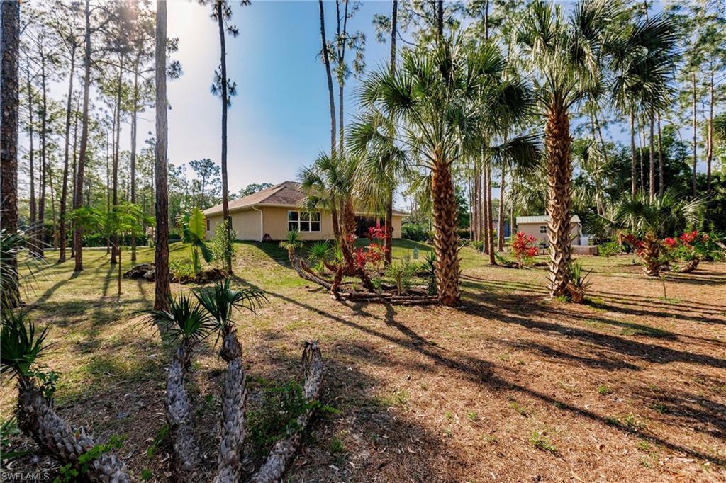 24808 Dietz DR