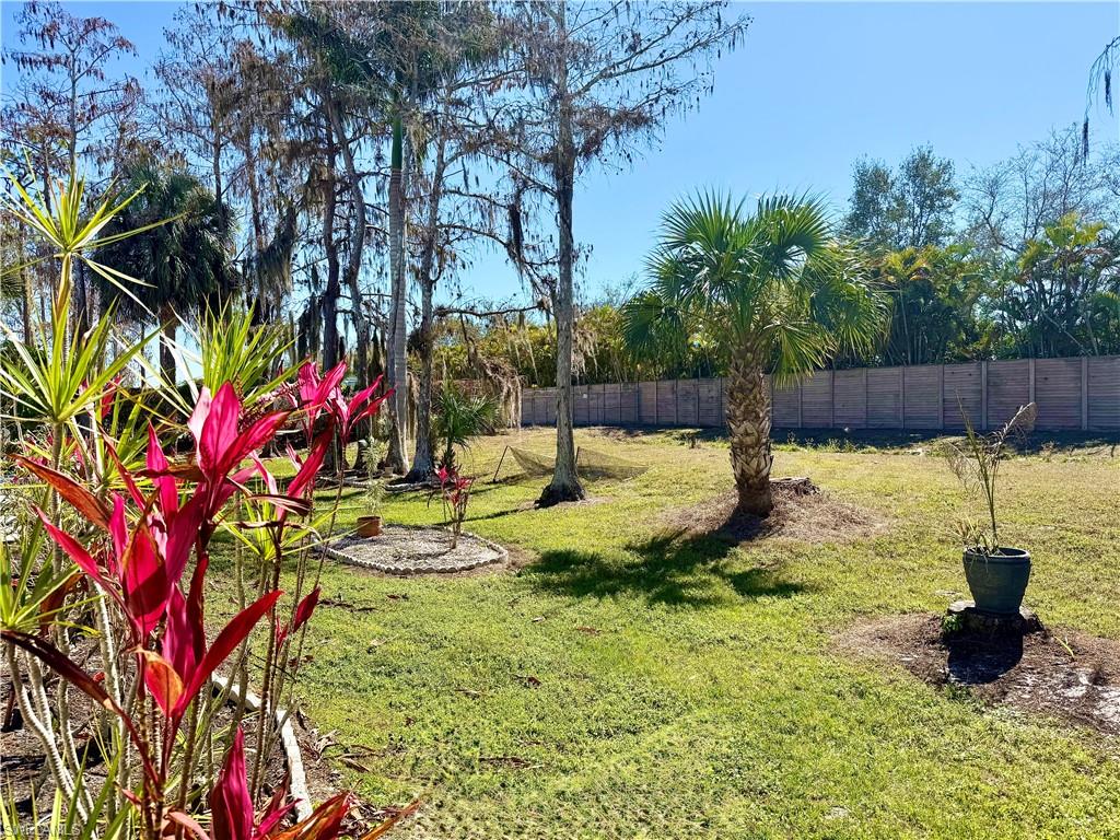 73 Vanda Sanctuary 73