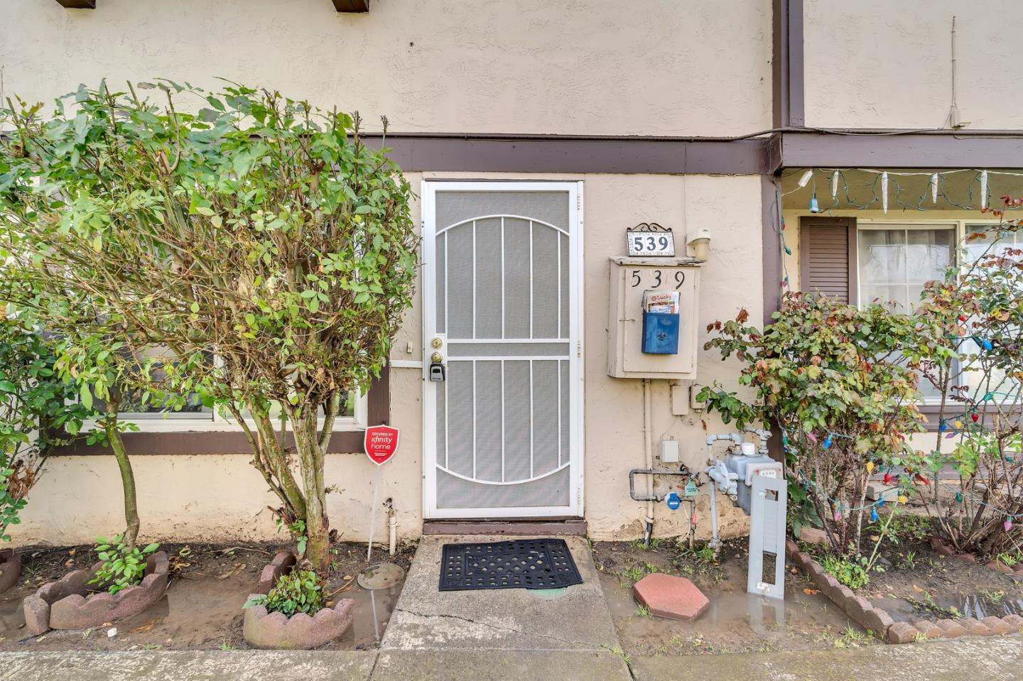 539 Cinnamon Drive