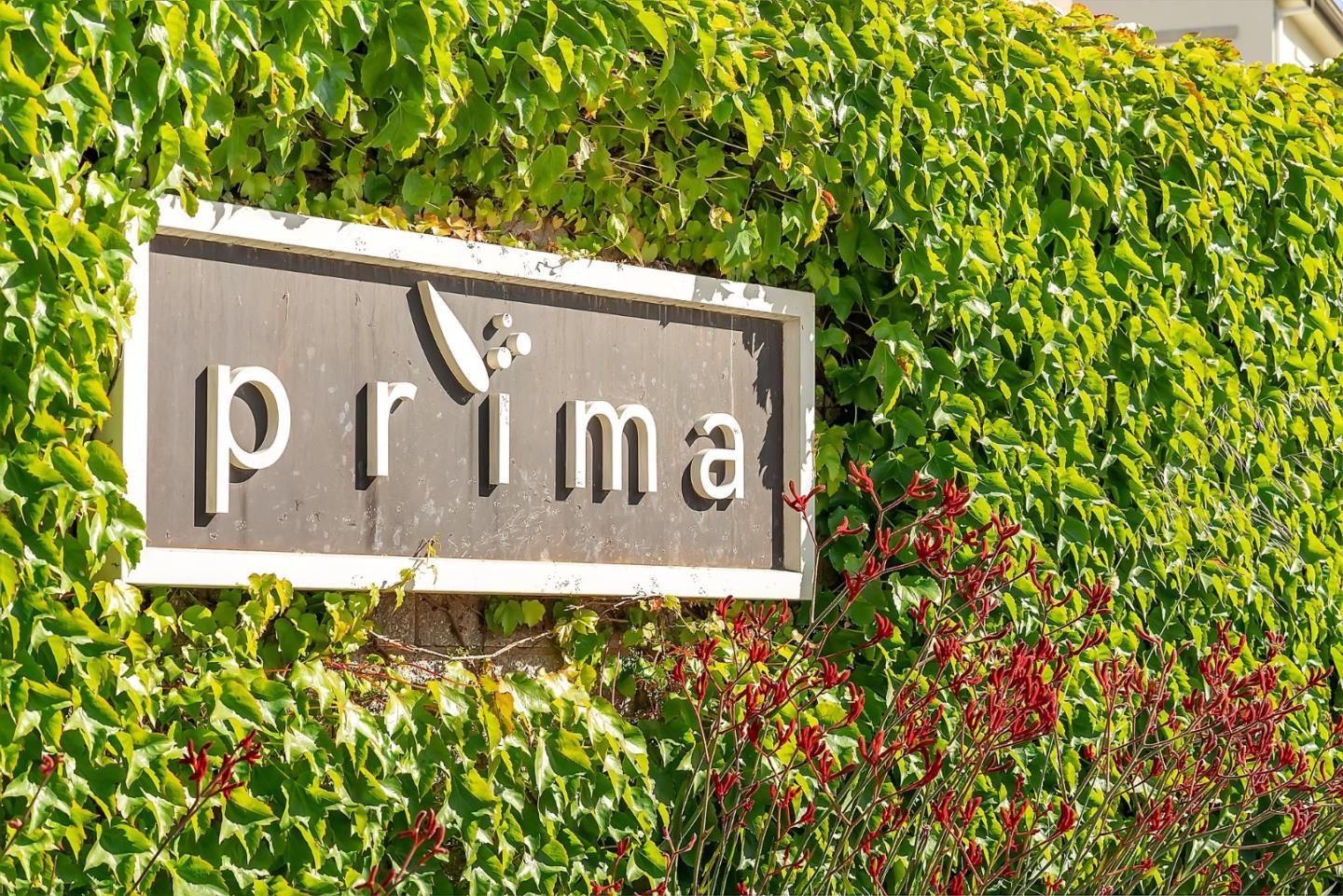 38909 Snapdragon Place