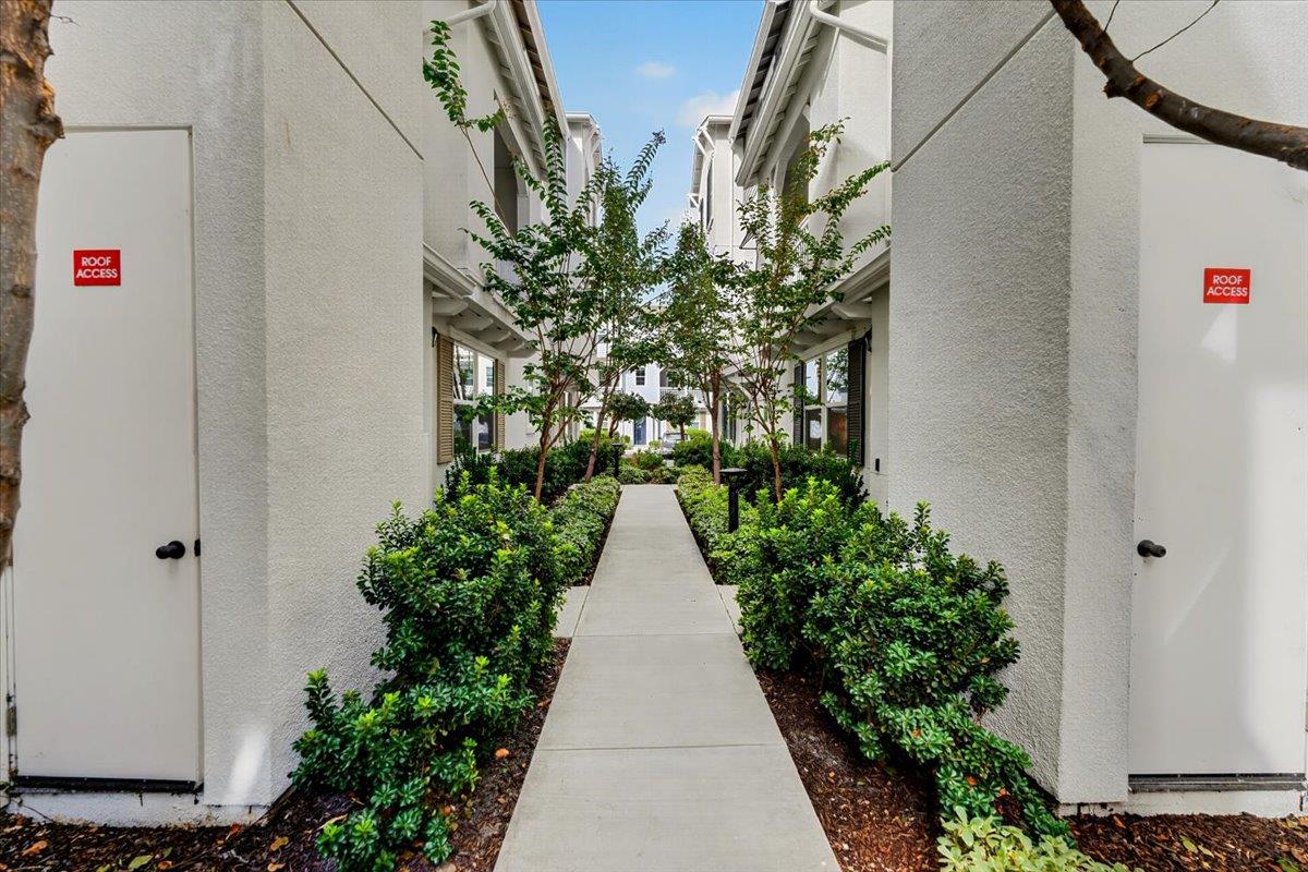 1512 Coffee Berry Lane