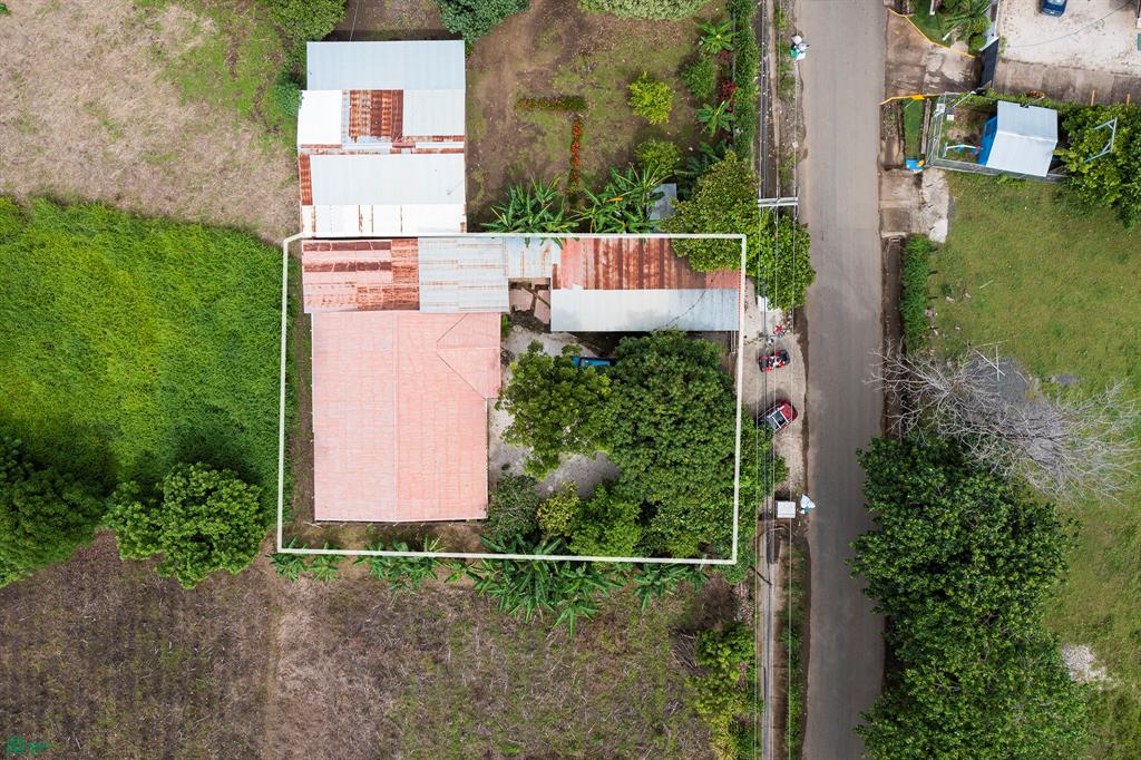 Casa Parrot Playa Potrero