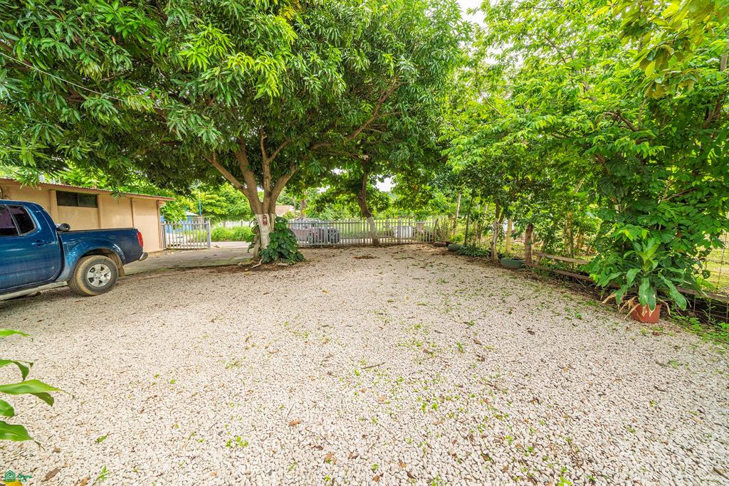 Casa Parrot Playa Potrero