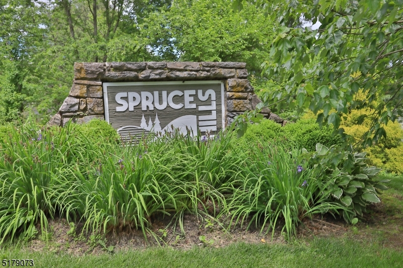 213 Spruce Hills Dr