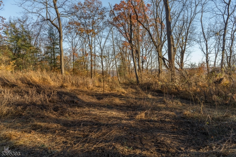 0 Asbury Broadway Road