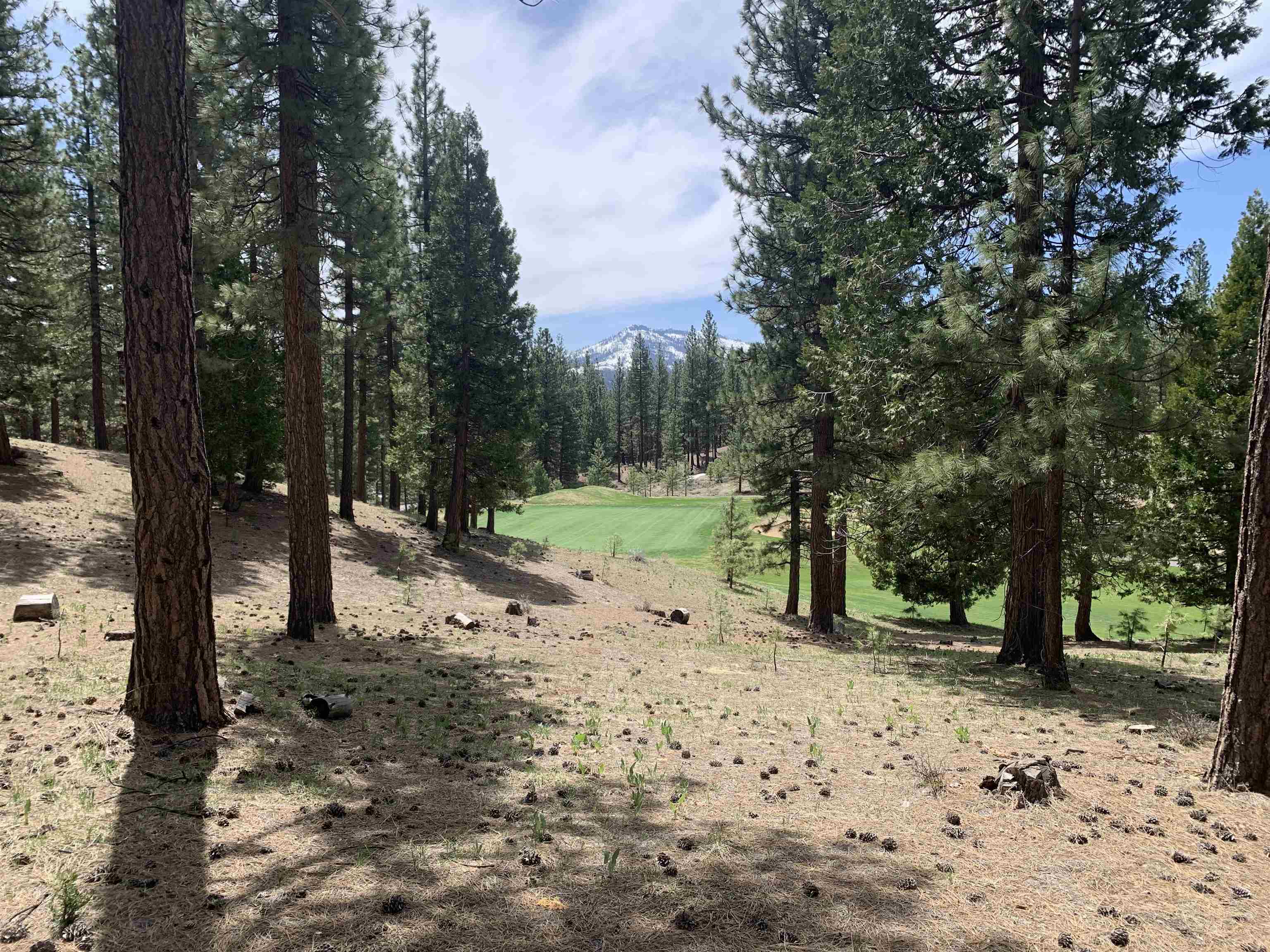 131 Bird Of Prey Lane