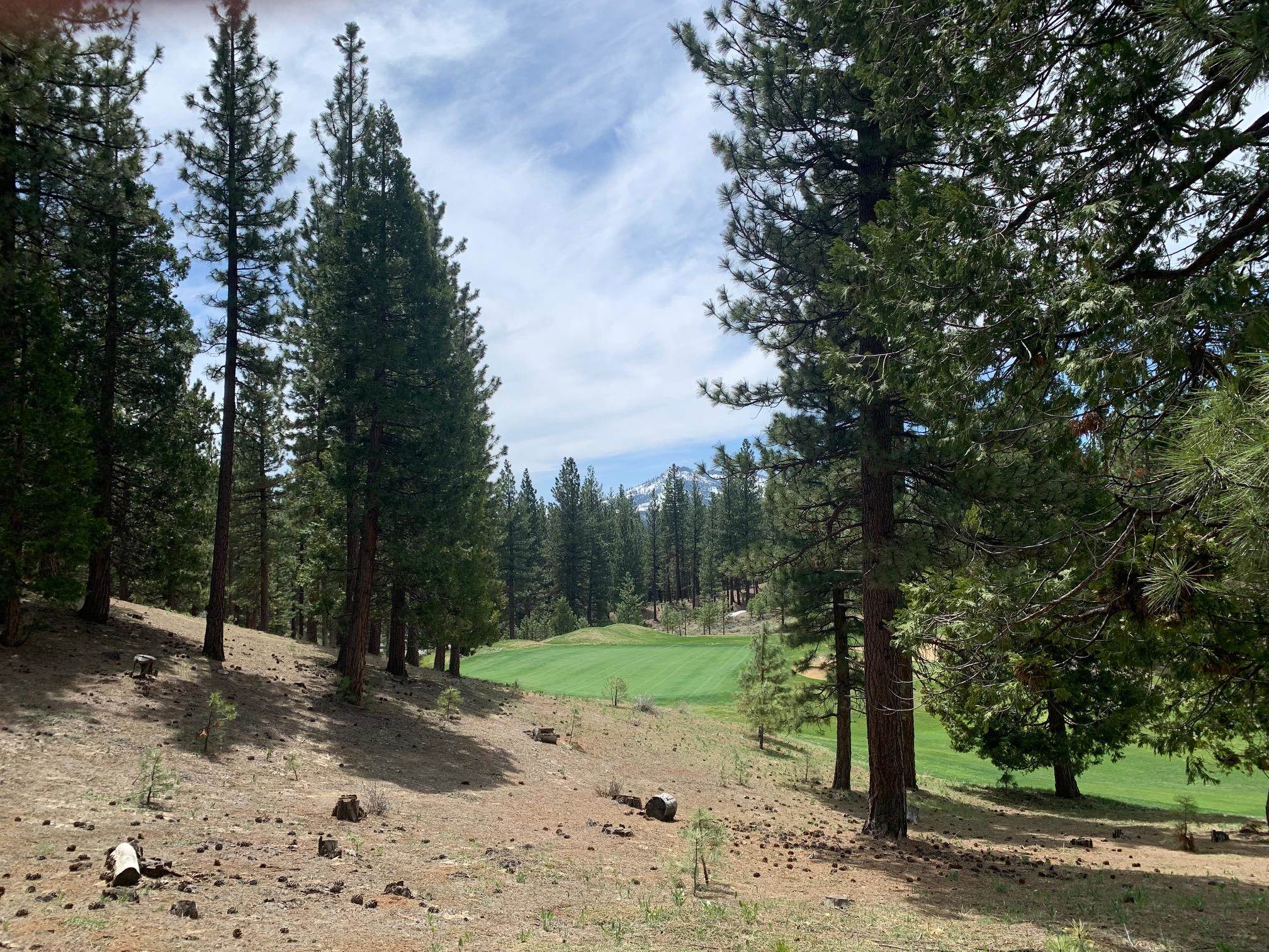 131 Bird Of Prey Lane