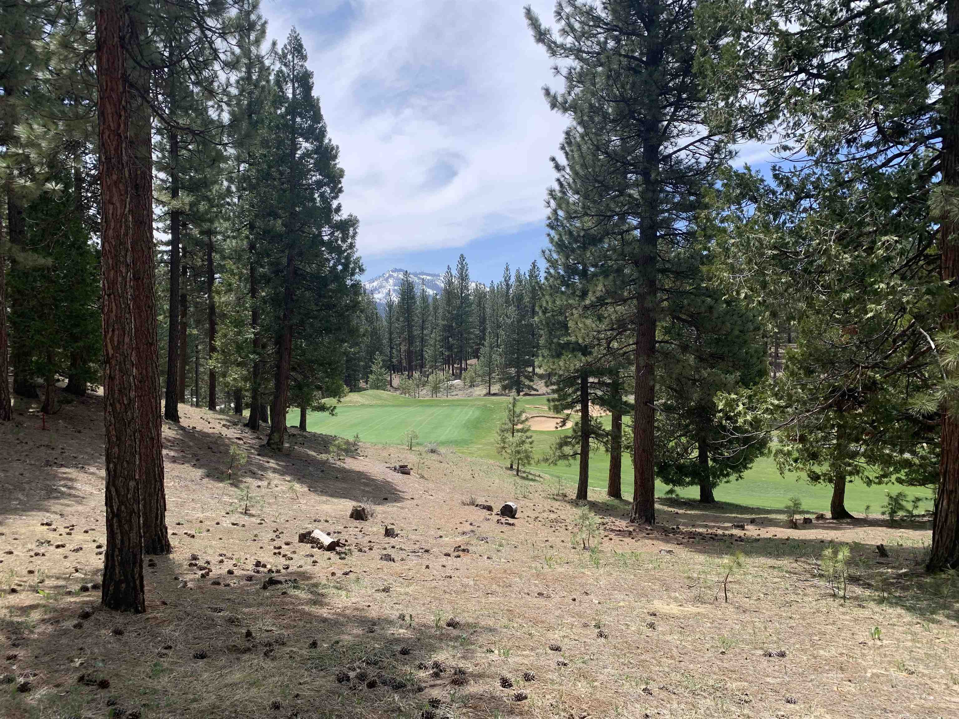 131 Bird Of Prey Lane