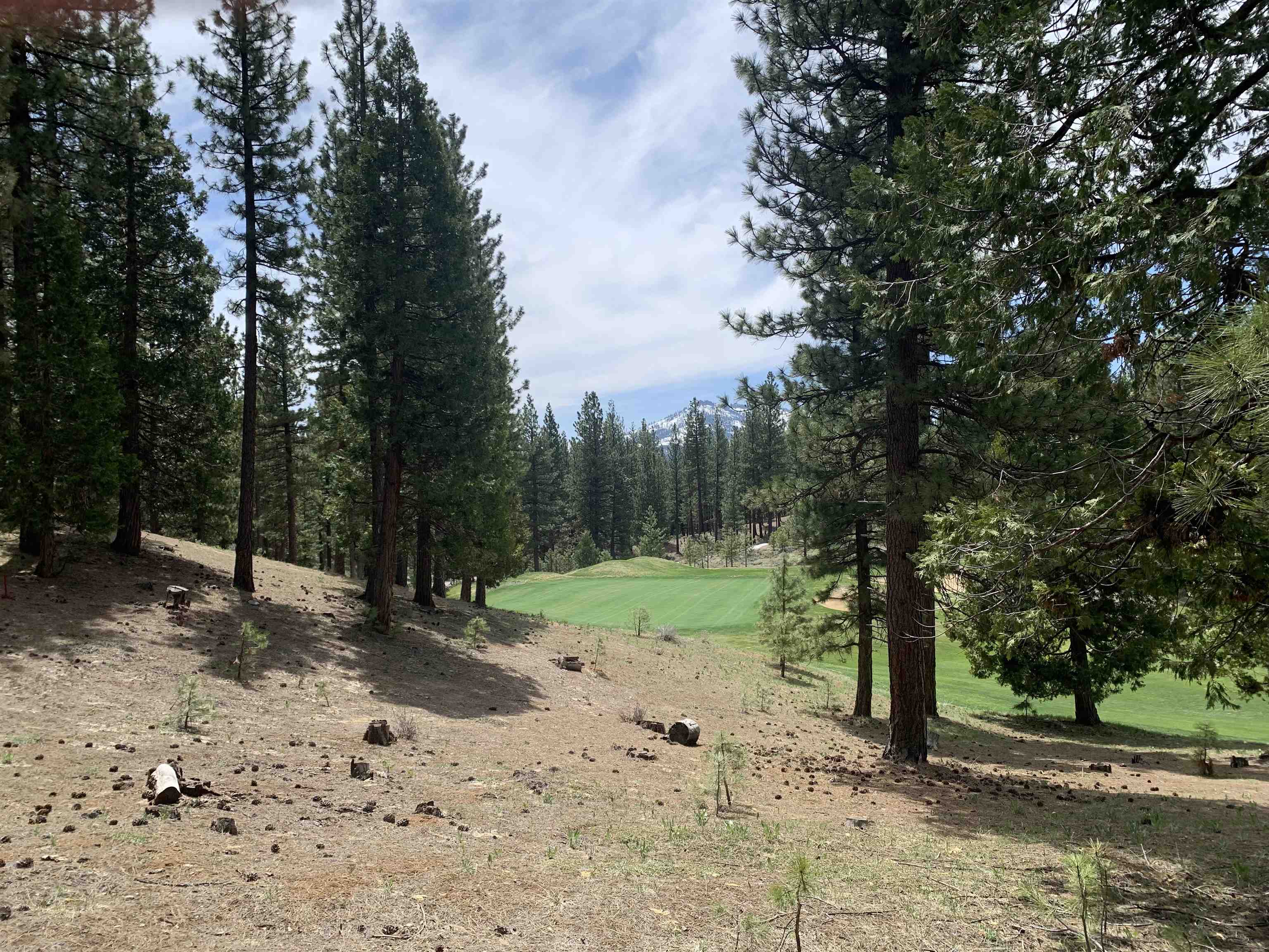 131 Bird Of Prey Lane