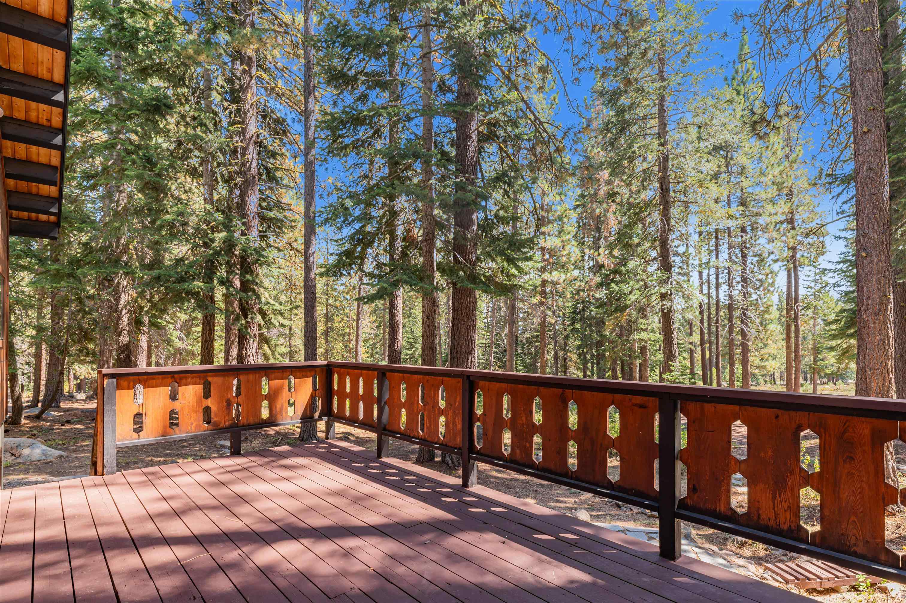 12447 Bernese Lane