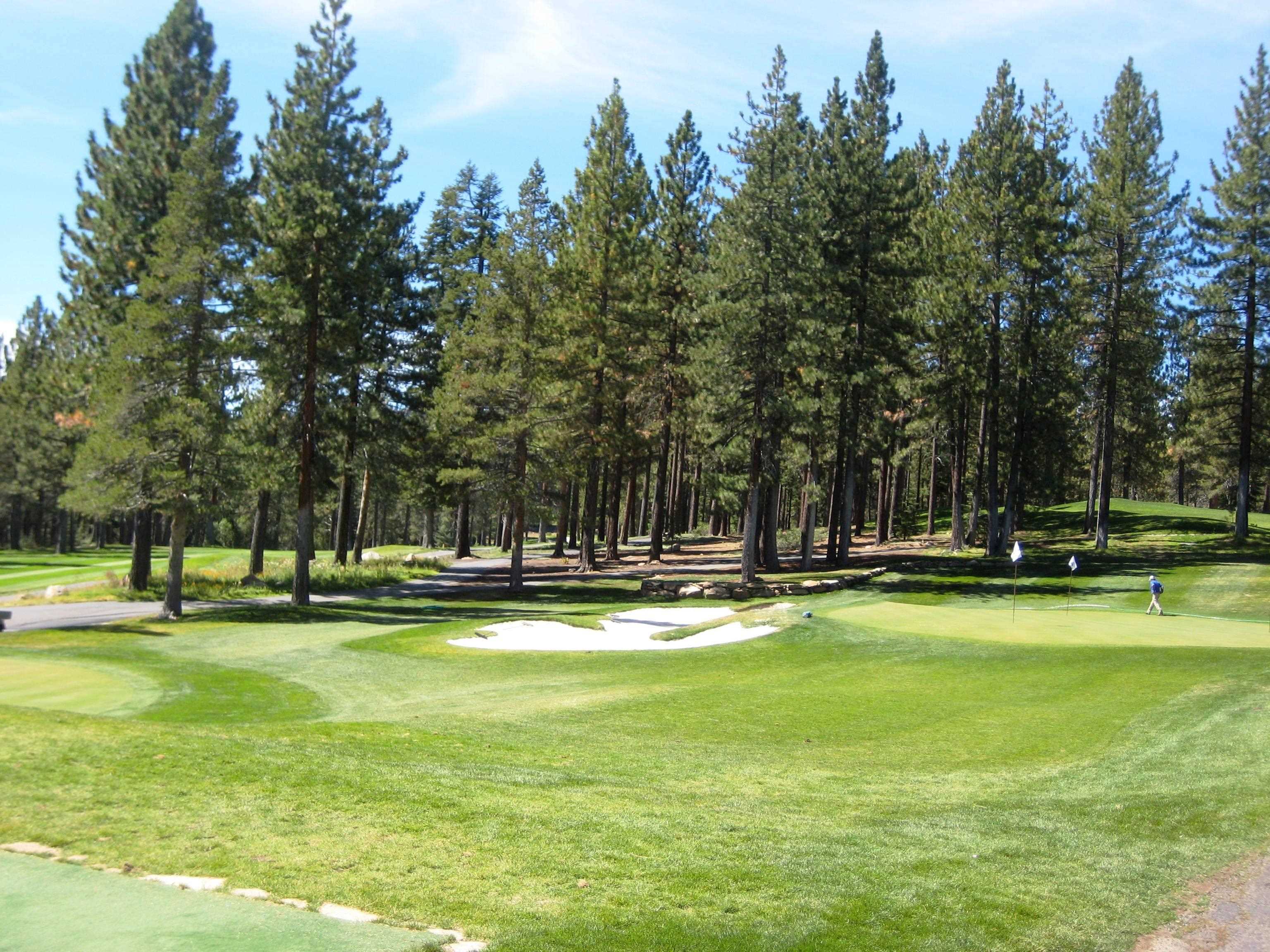 12852 Skiview Loop