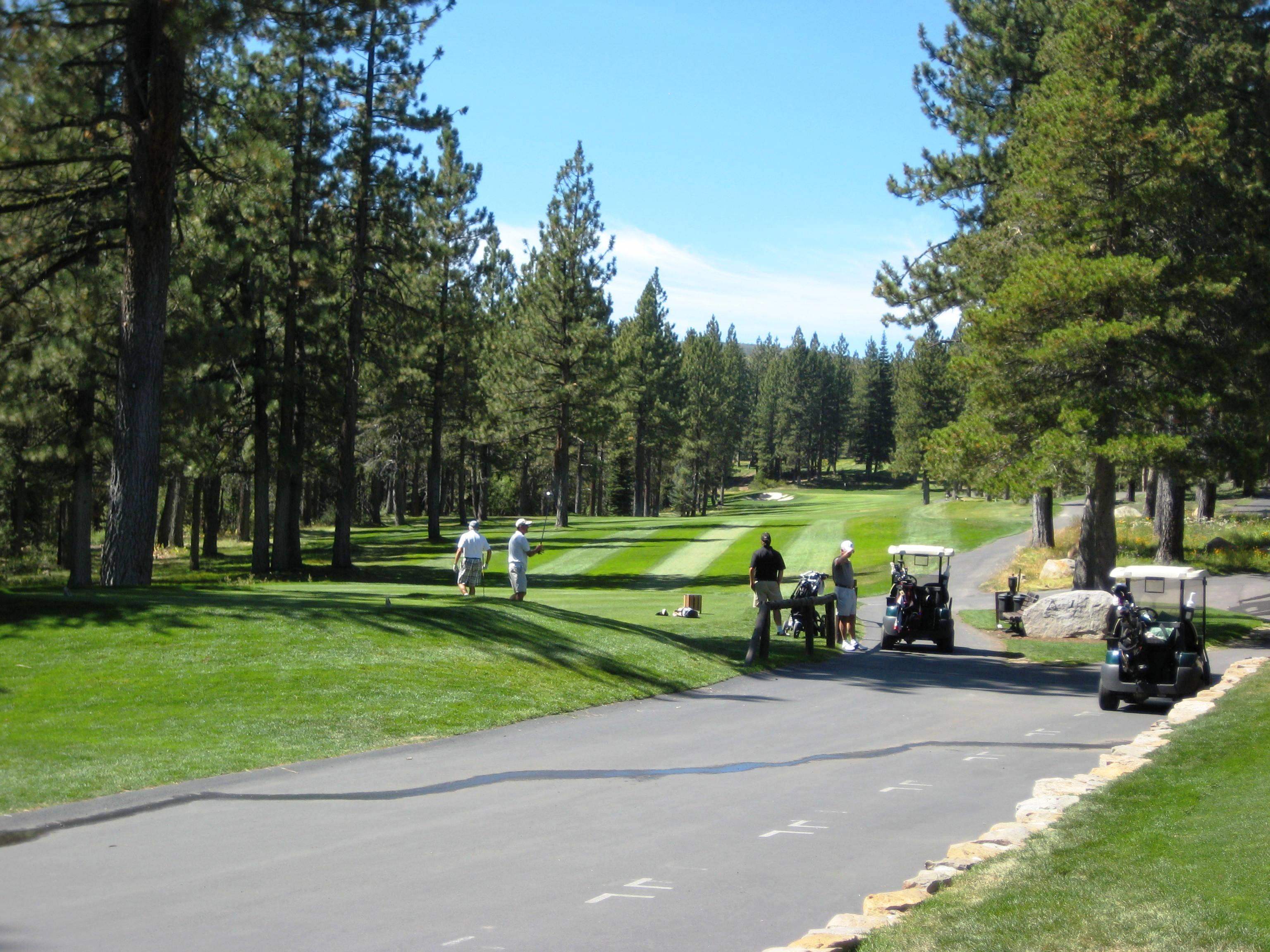 12852 Skiview Loop