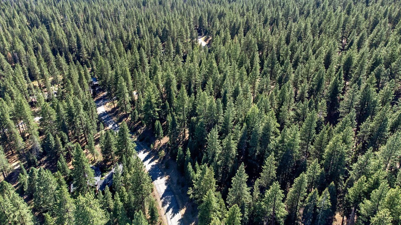 12062 Saddleback Drive