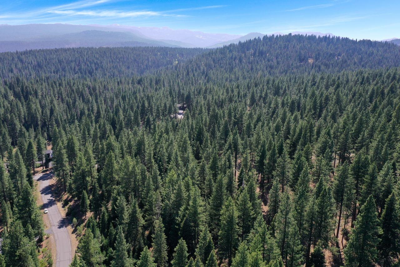 12062 Saddleback Drive