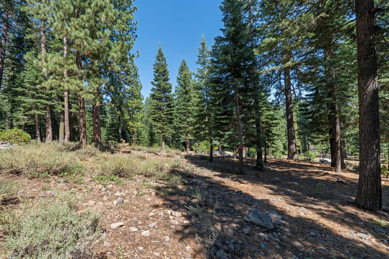 12062 Saddleback Drive