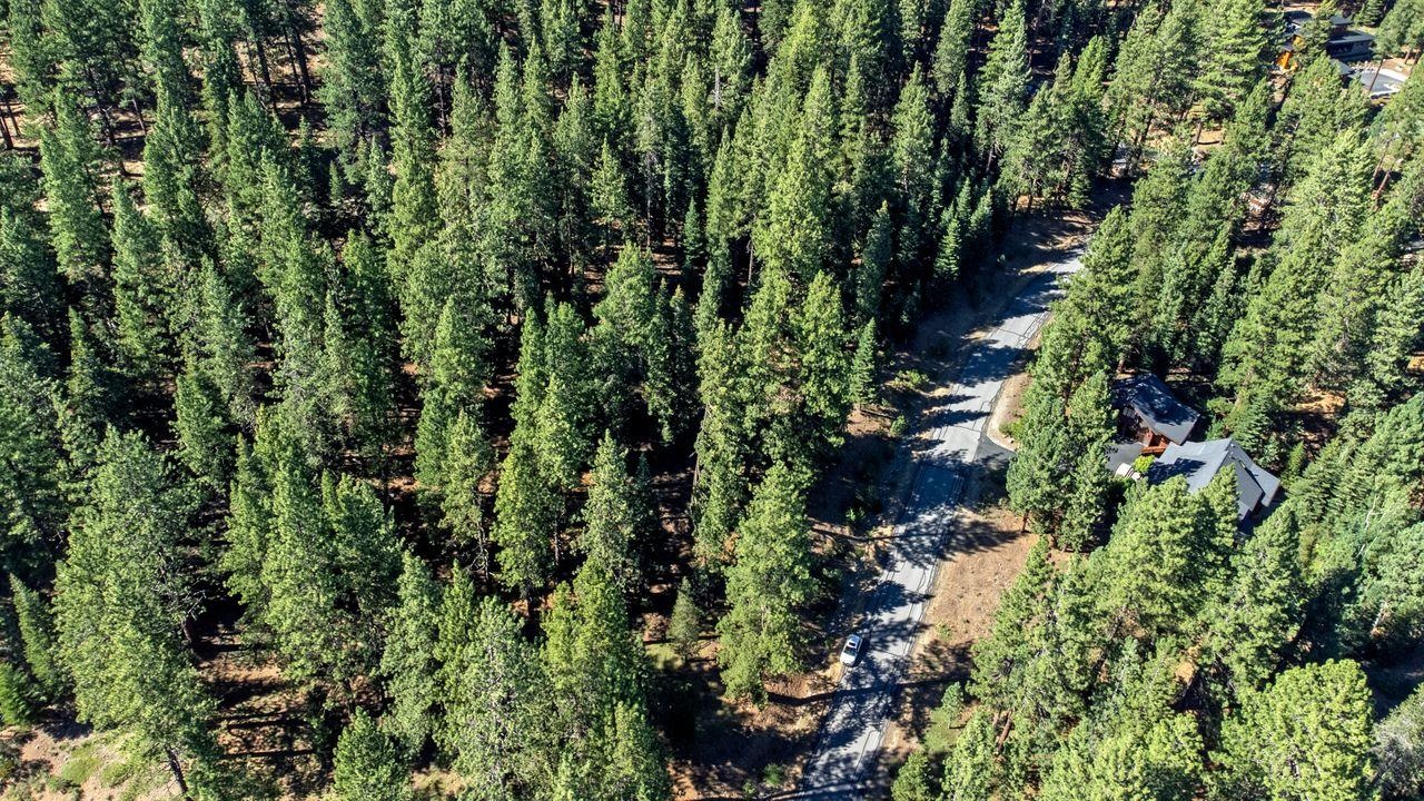 12062 Saddleback Drive