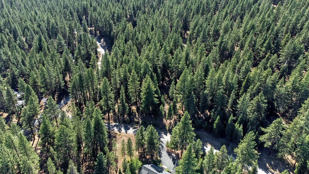 12062 Saddleback Drive