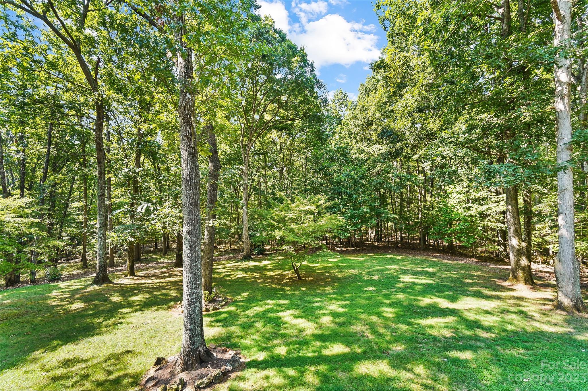 9131 N Pine Hill Lane