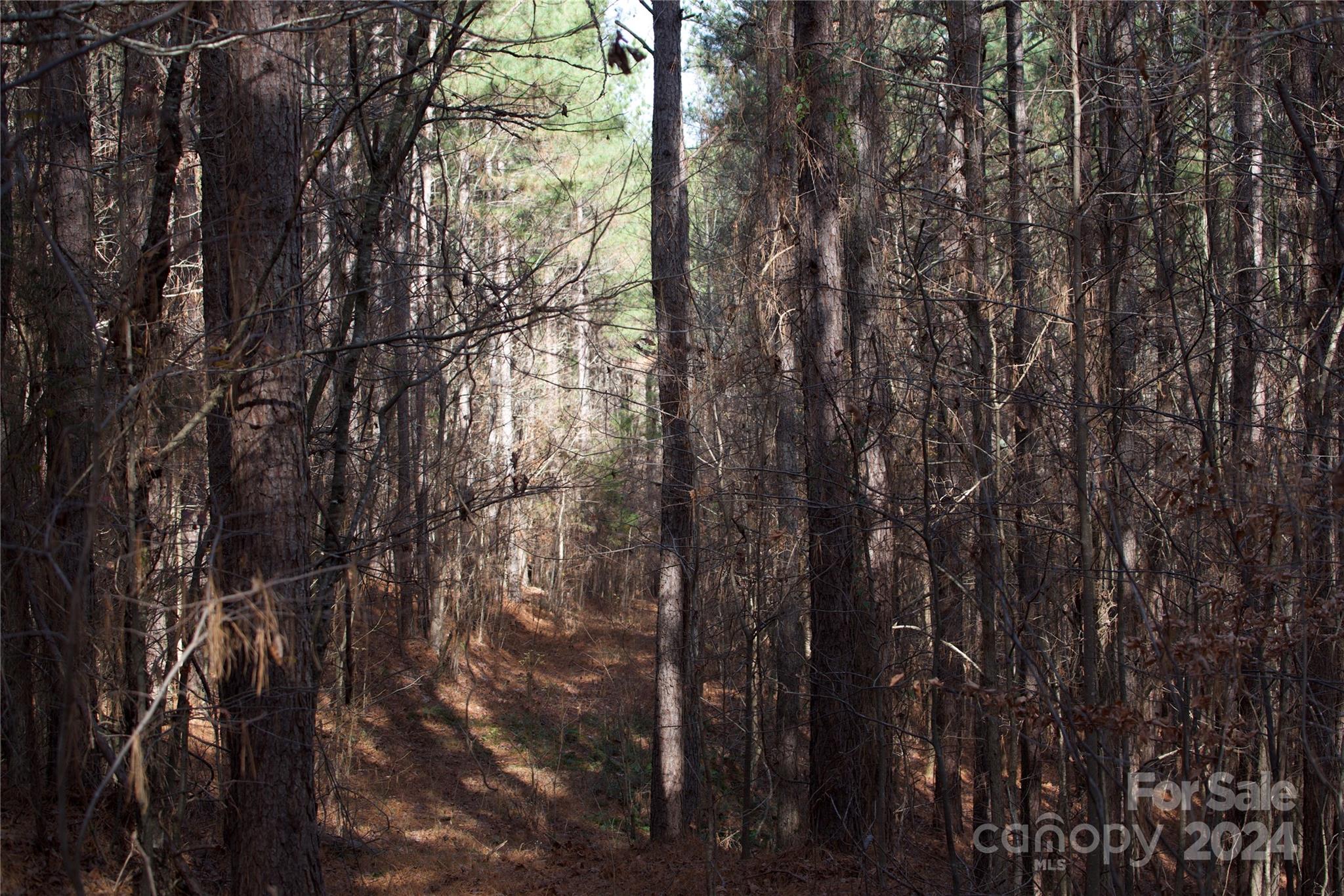 00 Deerwood Road