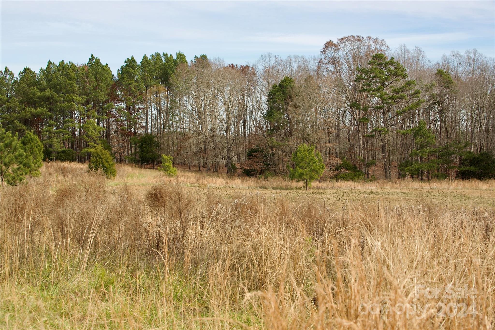 00 Deerwood Road
