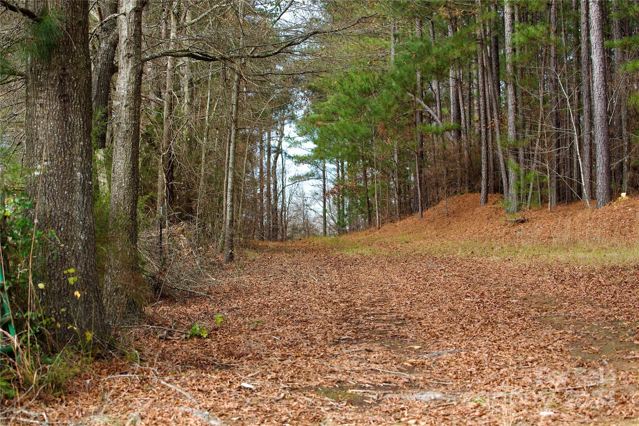 00 Deerwood Road